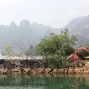 Quynh Nhai: poético destino turístico en la región del Noroeste de Vietnam