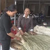 Provincia vietnamita busca promover sus productos artesanales para exportación