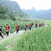 Promueven inversiones en bienes raíces agroturísticos en Vietnam