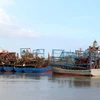 Provincia vietnamita intensifica control de barcos pesqueros