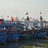 Vietnam por elevar conciencia sobre desarrollo sostenible de pesca