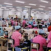 Kien Giang registra aumento de 10 por ciento del valor de producción industrial