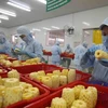 Países del sudeste asiático multiplican importaciones de productos agrícolas vietnamitas 