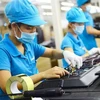 Flujo de IED a Vietnam muestra señales positivas 