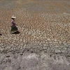 Tailandia registrará menos precipitaciones el próximo año debido a El Niño