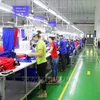 Vietnam y Singapur fomentan la cooperación en innovación y emprendimiento