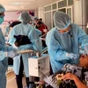 Más de cuatro mil pobres en provincia vietnamita reciben chequeos médicos gratuitos