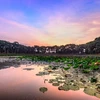 Delta del Mekong reconoce otros dos destinos turísticos típicos