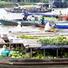 Vietnam nombrado entre destinos más seguros para jubilados en Asia