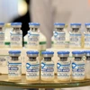 Empresas vietnamitas listas para exportar vacunas de peste porcina africana