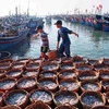 Vietnam necesita unos 382 millones de USD para proteger y explorar recursos marítimos