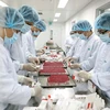 Sector de medicina y farmacia de Vietnam por atraer más inversiones