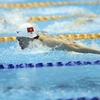 Nadadores vietnamitas competirán en campeonato mundial en Japón
