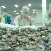 Vietnam, segundo mayor exportador de camarón del mundo 