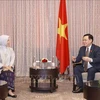 Vietnam e Indonesia impulsan cooperación en auditoría