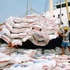 Alcanzan precios de arroz exportable de Vietnam nivel récord en 15 años 