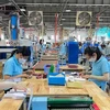 Vietnam aumentará salario mínimo regional en 2024