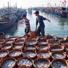 Tien Giang cumple bien recomendaciones sobre prevención de pesca ilegal