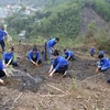 Mejoran conciencia de jóvenes vietnamitas sobre protección ambiental