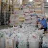 Vietnam se esfuerza por impulsar exportación de arroz y estabilizar el mercado interno
