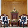 Comité de Paz de Vietnam cumple con éxito agenda de visita en Laos
