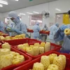 Ventas de hortalizas y frutas de Vietnam se disparan con un aumento del 57,5%