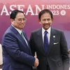 Premier vietnamita se reúne con sultán de Brunei