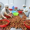 Vietnam trabaja por impulsar las exportaciones frutales
