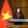 Vietnam y Sudáfrica exploran posibilidades de fortalecer lazos comerciales