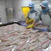 Ventas de pescado Tra vietnamita a EE.UU. reportarán señales positivas a finales de año