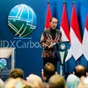 Indonesia lanza la primera bolsa de carbono
