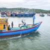 Provincia de Quang Ngai intensifica esfuerzos contra la pesca ilegal