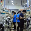 Binh Phuoc registra superávit comercial de casi mil millones de dólares en nueve meses