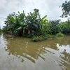 Primer ministro pide respuestas proactivas a riesgos de inundaciones en región central