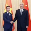 Presidente vietnamita se reúne con dirigente partidista chino
