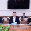 Ciudad Ho Chi Minh promueve cooperación con empresas japonesas