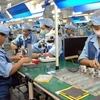 Vietnam se convertirá en una economía con mayor ritmo de crecimiento