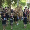 Múltiples actividades del Festival Cultural de Grupos Éticos en Dak Lak
