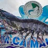 Provincia de Ca Mau acogerá primer festival del camarón