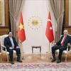 Turquía concede importancia al desarrollo de nexos con Vietnam, afirma presidente