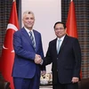 Premier vietnamita recibe al ministro turco de Comercio