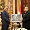 Vietnam y Egipto refuerzan nexos partidistas