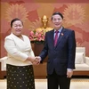 Vietnam y Laos fortalecen nexos de cooperación