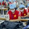 Empresas vietnamitas necesitan adoptar pacto verde europeo