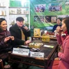 Celebran intercambio cultural sobre el disfrute del té en Thai Nguyen