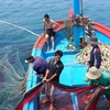 Piden soluciones urgentes para combatir pesca ilegal en Vietnam