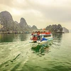 Buscan convertir al turismo en sector económico prionero en transición verde de Vietnam