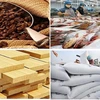 Exportaciones de productos agrosilvícolas y acuícolas de Vietnam alcanzan superávit récord
