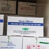 Vietnam importa suficientes vacunas para programa de inmunizaciones 2024