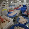 Exportación vietnamita de pescado Tra alcanzará dos mil millones de USD